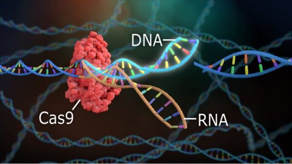 Crispr